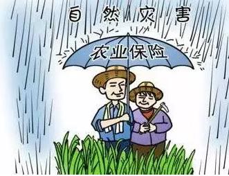 中国空调成欧洲救命稻草，炎夏里的温暖故事