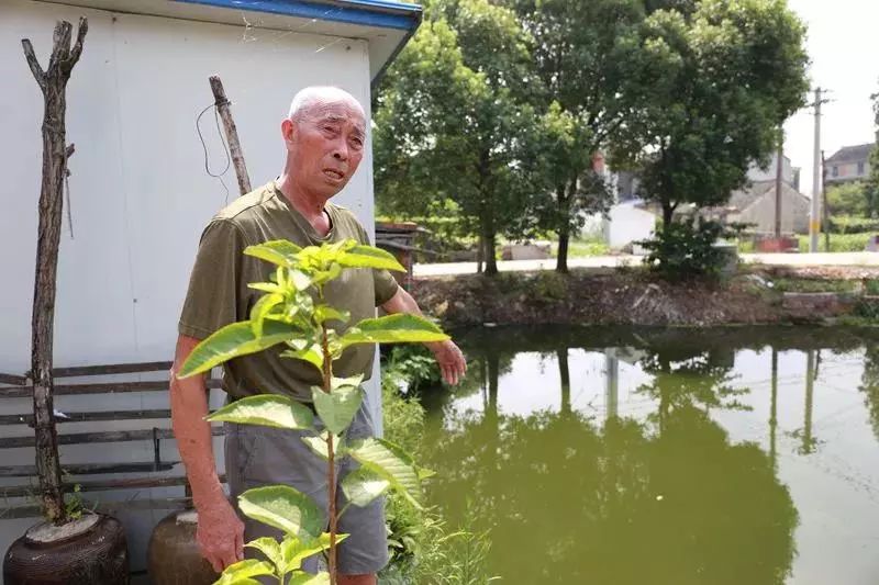 93岁老人被水冲走，漂了3公里获救，奇迹背后的坚韧与希望