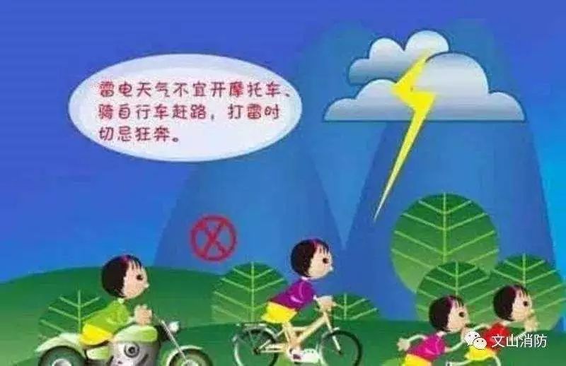 台风来袭 全场景防御指南请收好