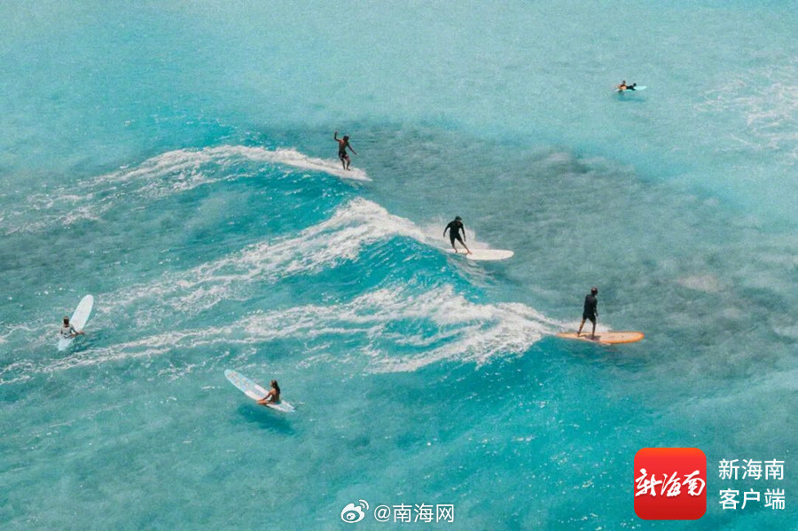 央媒vs海南直播视频，一场关于信任、流量和真实的神仙打架