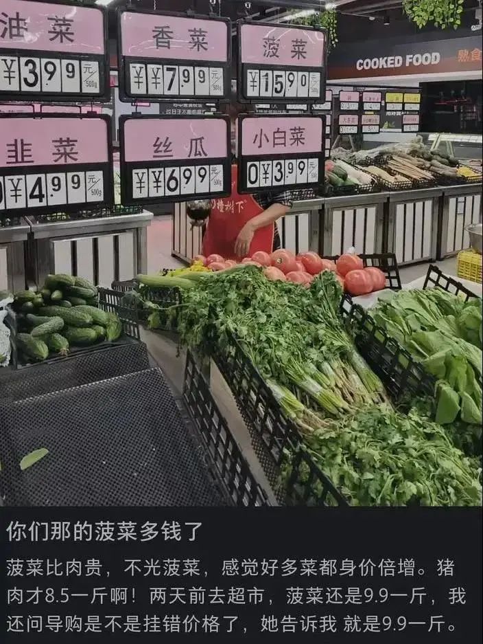 乐平vs蔬菜人视频直播，当菜地成为战场，这届网友到底在看什么？